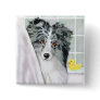 Bi Blue Sheltie Bath Pinback Button