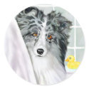 Bi Blue Sheltie Bath stickers