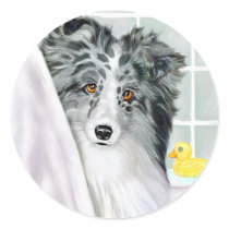 Bi Blue Sheltie Bath stickers by DanesRUs Bi Blue Sheltie Bath stickers