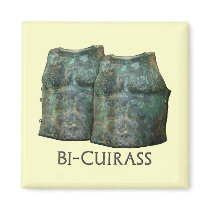 Bi-Cuirass Magnets