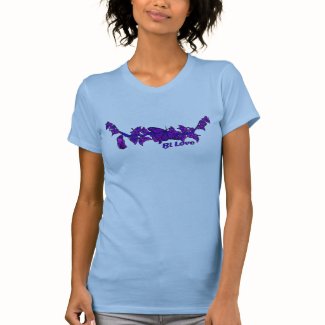 Bi Love butterfly and cocoon Tshirt