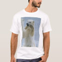 Bi-Polar Club t-shirts