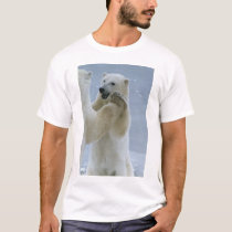 Bi-Polar Club t-shirts by pathbguy Bi-Polar Club t-shirts