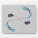 Bi-Polar Opposites II Mousepad