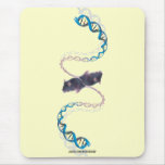 Bi-Polar Opposites Mousepad