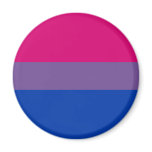 Bi-Sexual Pride Flag magnets