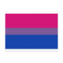 Bi-Sexual Pride Flag Postcards