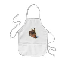 Bib:  The Rabbit Aprons