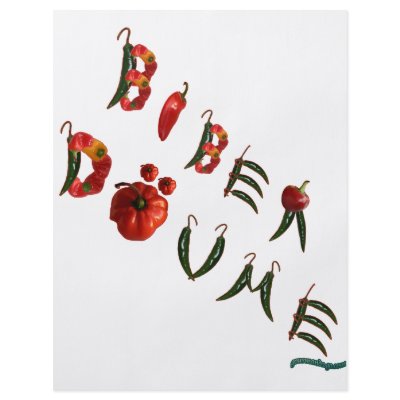 Biber Dovme Chili Peppers Full Color Flyer by chili_state