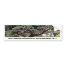 Bible BirthVerse Bumper Sticker