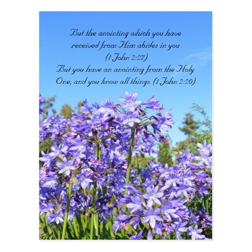 Bible passage, blue flowers & blue sky postcard Zazzle