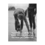 Bible passage,collecting pebles postcards
