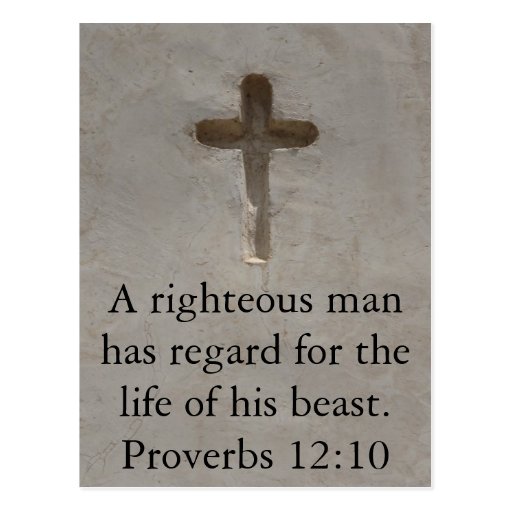 Bible quote about Animal Cruelty Proverbs 1210 Postcard Zazzle