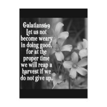 BIBLE SCRIPTURE GALATIANS 6:9 POSTCARDS
