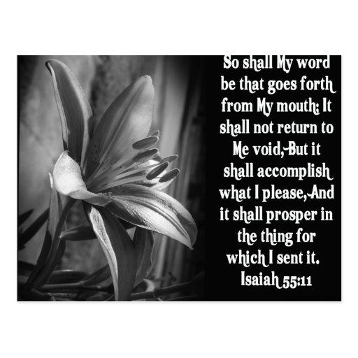 BIBLE SCRIPTURE ISAIAH 55:11 POST CARDS