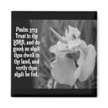 BIBLE SCRIPTURE PSALM 37:3 TRUST THE LORD magnets