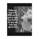 BIBLE SCRIPTURE PSALM 37:3 TRUST THE LORD POSTCARD