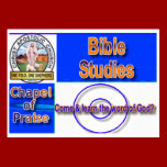 bible studie 2 - Customized business cards