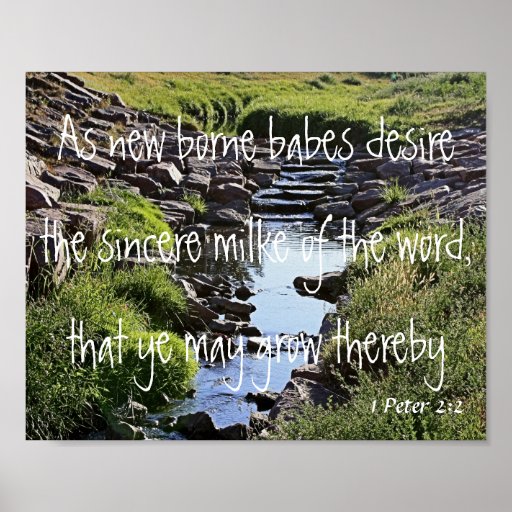 bible verse country scenery 1 Peter 2:2 Poster