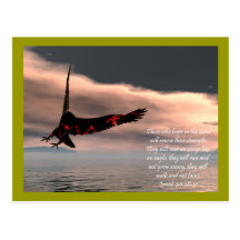 Bible Verse Isaiah 40: 28-31 with Eagle Post Cards