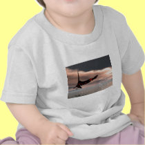 Bible Verse Isaiah 40: 28-31 with Eagle t-shirts by tshirts4christians Bible Verse Isaiah 40: 28-31 with Eagle t-shirts