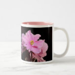 Bible Verse Photo Mug With African Violet