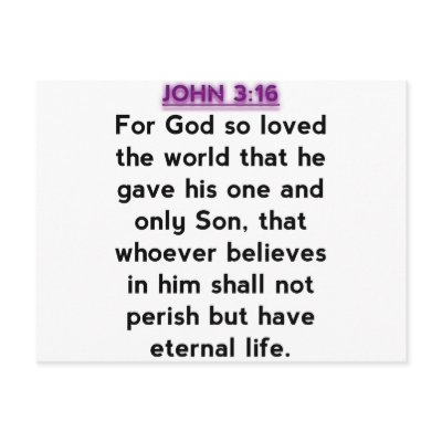 Bible Verses - John 3:16 Post Card by 4sillygoose