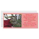 Biblical Rack Card 1