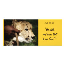 Biblical Rack Card 6