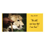 Biblical Rack Card 6