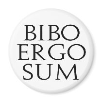 Bibo Ergo Sum magnets