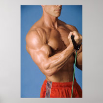 Bicep Curl Poster - Color #210
