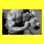 Bicep Peak Gym Wall & Health Club Poster posters