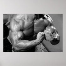 Bicep Peak Gym Wall & Health Club Poster