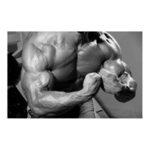 Bicep Peak Poster posters