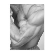 Bicep Postcard #3