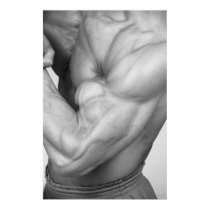 Bicep Poster #3 posters