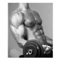 Biceps Curling Poster #5 print