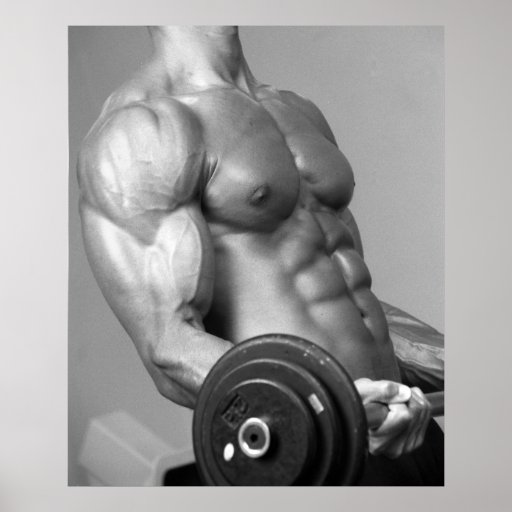 Biceps Curling Poster #5