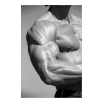 Biceps Poster #2 posters