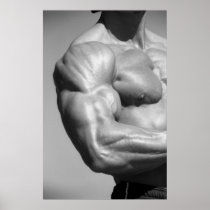 Biceps Poster #2