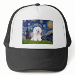 Bichon 1 - Starry Night Mesh Hat