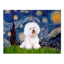 Bichon 1 - Starry Night Post Cards