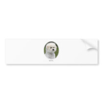 Bichon 9Y362D-058 bumper stickers