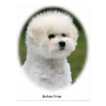 Bichon 9Y362D-058 posters by TraffordPhotos Bichon 9Y362D-058 posters