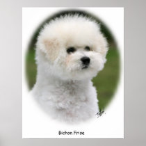Bichon 9Y362D-058 Print