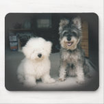 Bichon and Schnauzer Mouse Pad