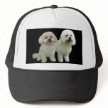 Bichon Buddies Hat