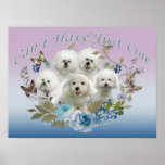 Bichon Can't Have Just One Poster