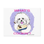 Bichon Cook Postcards